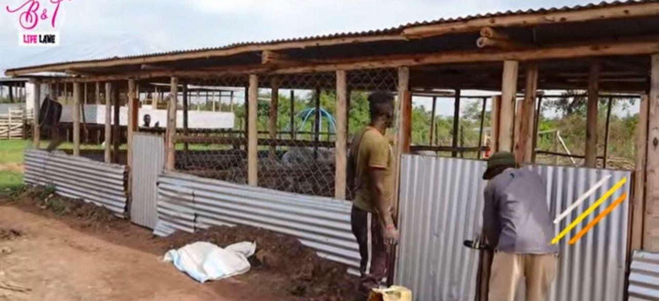 Global Friendship Exchange